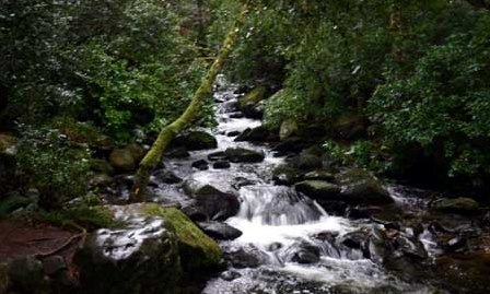 Torc Waterfall