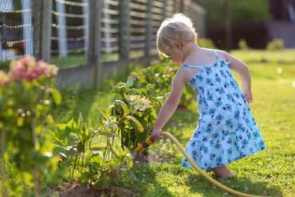 Flower power: Gardening can have a positive impact on your mental health