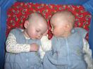 Evan & Alex