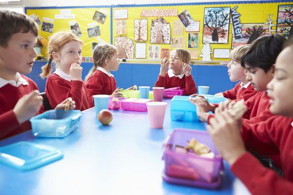 One third of vegetarian kids struggle to find healthy options at school
