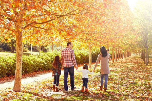 6 fun activities the whole family can do now autumn is here