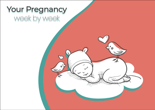 Pregnancy Week by Week Guide