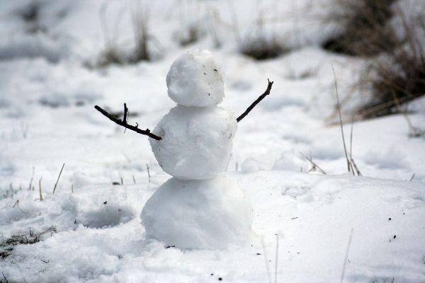 This is why the term Snowpeople has been dividing the Internet