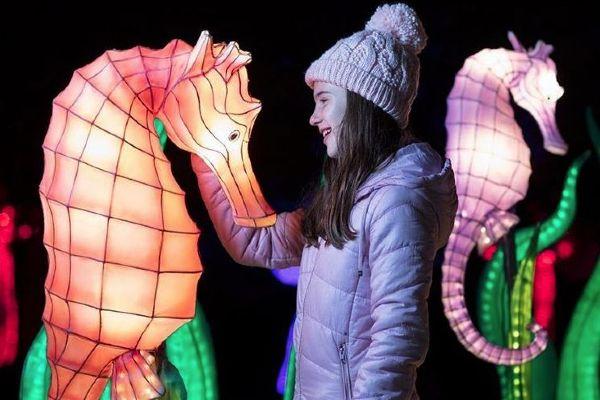 Dublin Zoo has CANCELLED tonights Wild Lights event
