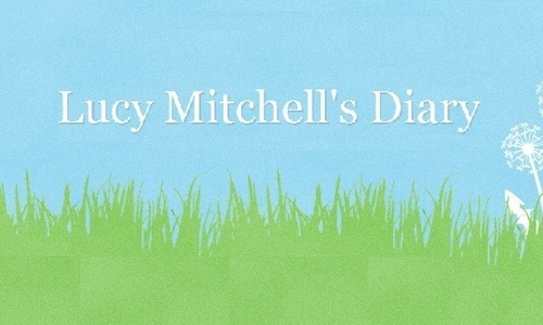 Lucy Mitchells Diary