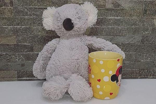 Baby Elegance urgently calls for help in reuniting a lost koala bear with its owner