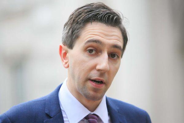 Simon Harris says protest outside his house was very frightening