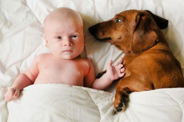 20 baby names inspired by animals that actually work