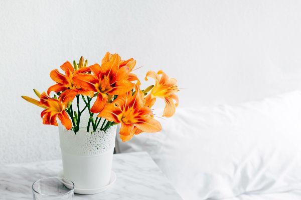 Keeping fresh flowers in your home can reduce pain and anxiety