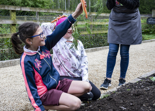 The Cool Food School Summer Camp