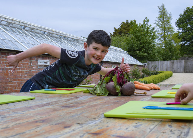 The Cool Food School Summer Camp