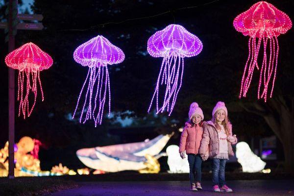 Wild Lights returns to Dublin Zoo with the most magical theme 