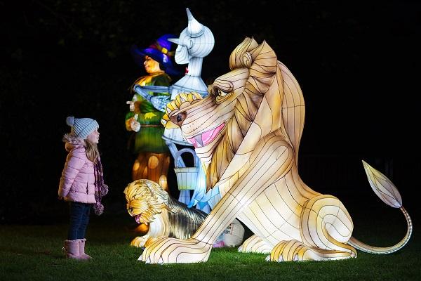 Dublin Zoo shares photos of this years Wild Lights and it looks MAGICAL