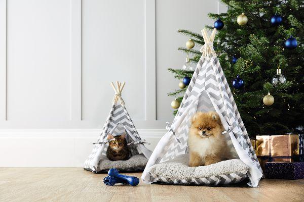 Aldi are selling tepees for cats and dogs and we NEED to buy one