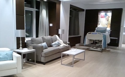 Beyonce birthing suite