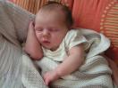 Alannah 
