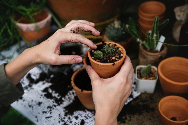 This new at-home gardening series will keep the whole family entertained