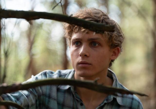 Something for the weekend: Psychological thriller The Woods is now on Netflix