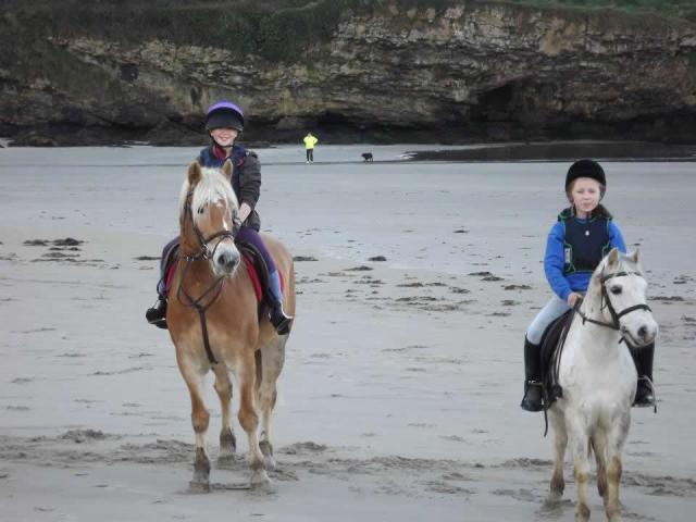 Donegal Equestrian Centre