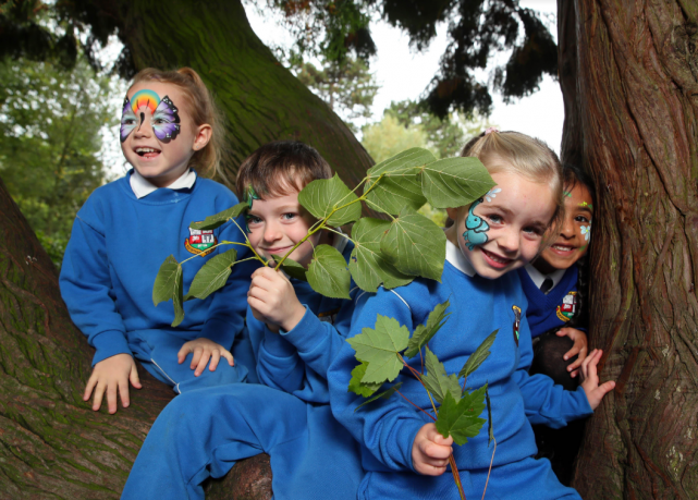 Tree Day: 1500 tree saplings are available for primary schools to plant on school grounds