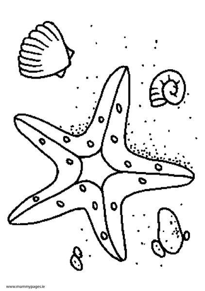 Starfish Colouring Page