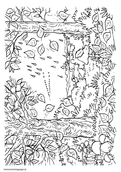 Autumn Forest Colouring Page