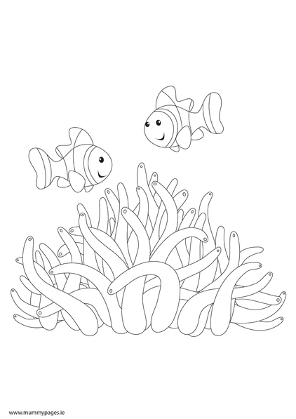 Fish Nemo - Anemone fish Colouring Page