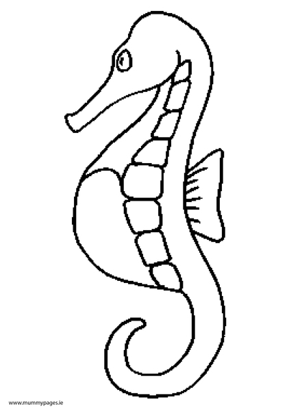 Seahorse Colouring Page