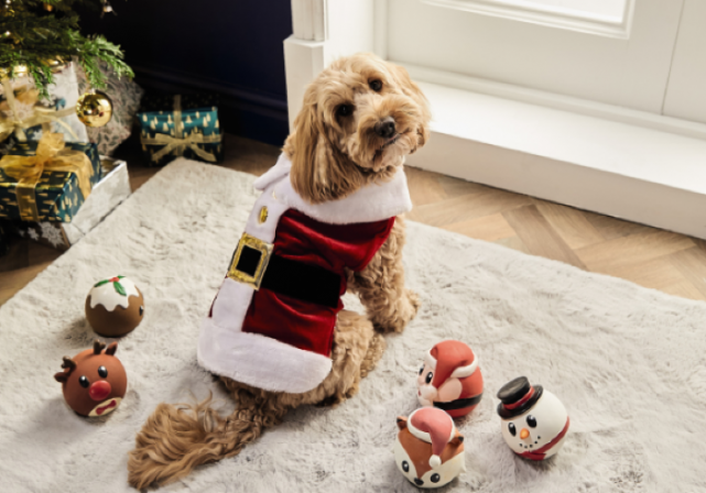 Spoil your pets this Christmas with Aldis mega pet present collection