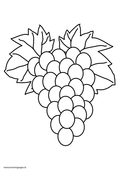 Grapes Colouring Page | MummyPages.ie