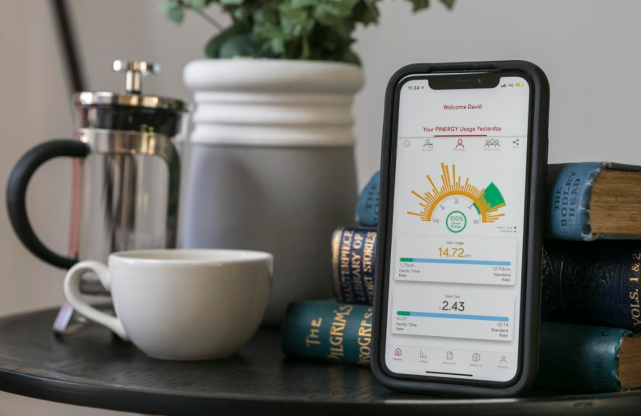  Pinergy Lifestyle designed to help families with new smart meters