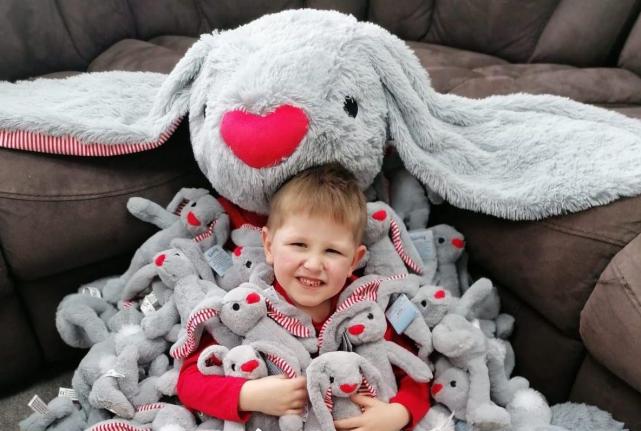 Buy a delightful grey rabbit to raise funds for Ronald McDonald House 