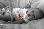 Mylo jace
