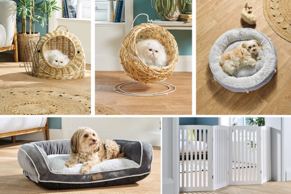 Aldi launch a huge pet accessories range featuring a mini egg chair