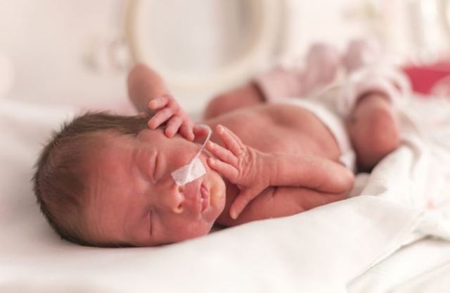Looking after your premature baby