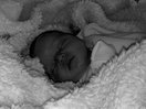 Arabella Annmarie