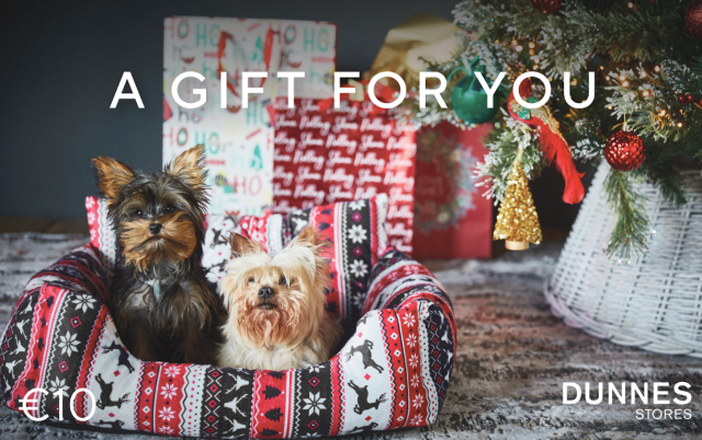 Dunnes Stores e-gift card promotion - buy an e-gift card, and get one for you too!