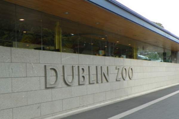 Dublin Zoo welcomes the arrival of a brand new & endangered species 