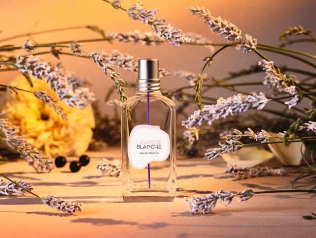 LOccitane introduces new range to their summer collection with old favourites too.