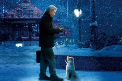 Beware dog owners! These dog movies are 100% going to make you cry
