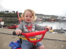 noah