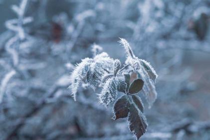 Public urged to check on the elderly as freezing temperatures come into effect
