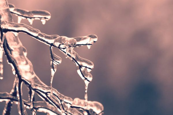Met Éireann issue warning for frost & ice ahead of ‘very cold night’ 