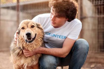Hemp Heros launch an incredible fundraiser for Animal Welfare Charities