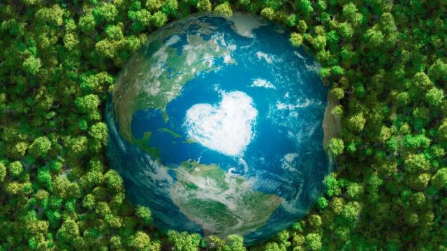 Five eco-saving tips that can make a difference every day, not just on World Earth Day