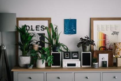Brighten up your space: This is the reason why your home office needs a house plant
