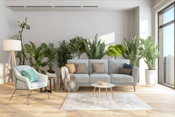 40% of Irish people admit to unintentionally ‘killing’ their house plants