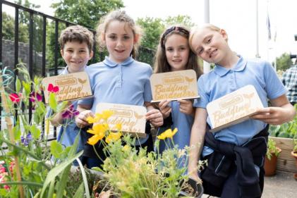 Limerick & Dublin schools scoop top prizes in Woodie’s Budding Gardeners Competition