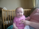 holly