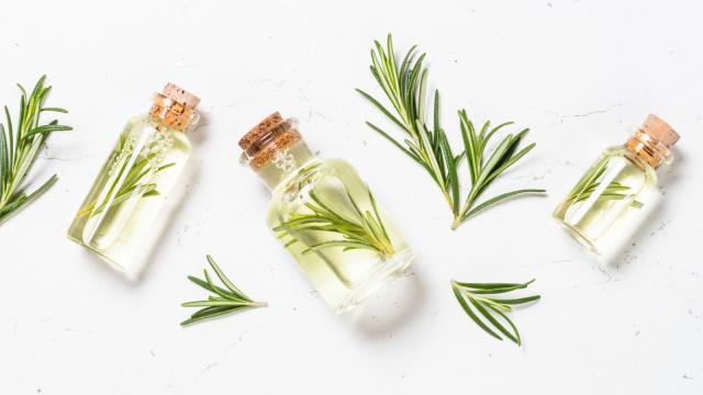 TikTok must-have ingredient rosemary, is now playing key role in skincare to invigorate tired skin